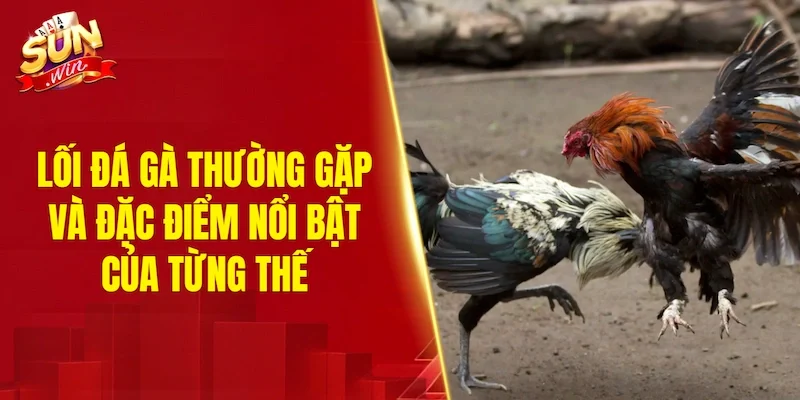 Các thế đá gà thường gặp và đặc điểm nổi bật của từng thế