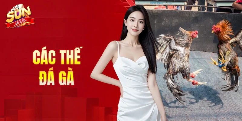 các thế đá gà