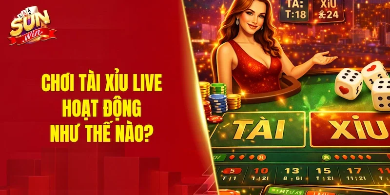 Chơi tài xỉu live hoạt động như thế nào?