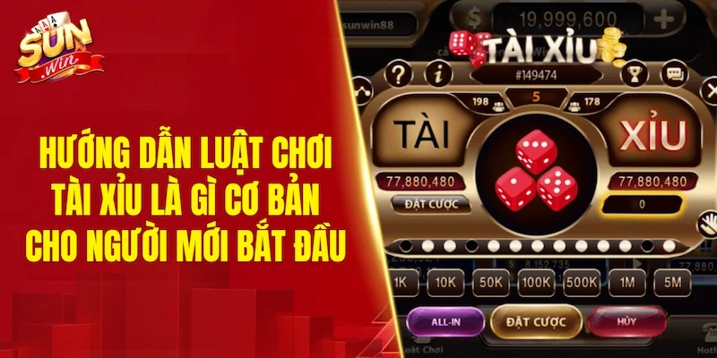 Hướng dẫn luật chơi tài xỉu là gì cơ bản cho người mới bắt đầu