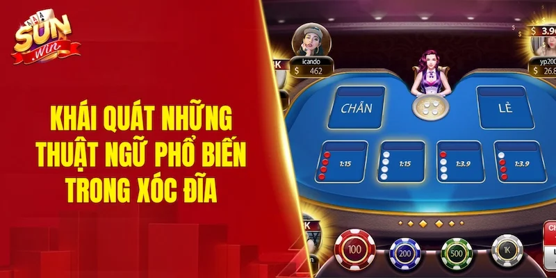 Khái quát những thuật ngữ phổ biến trong xóc đĩa