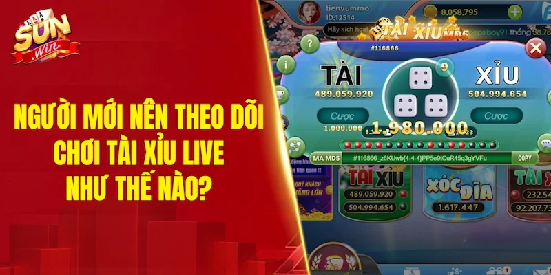 Người mới nên theo dõi chơi tài xỉu live như thế nào?