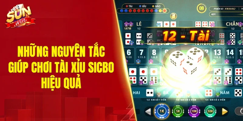 Những nguyên tắc giúp chơi tài xỉu Sicbo hiệu quả