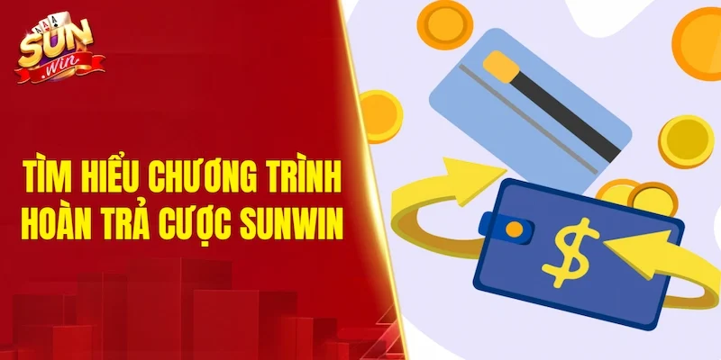 Tìm hiểu chương trình hoàn trả cược SUNWIN
