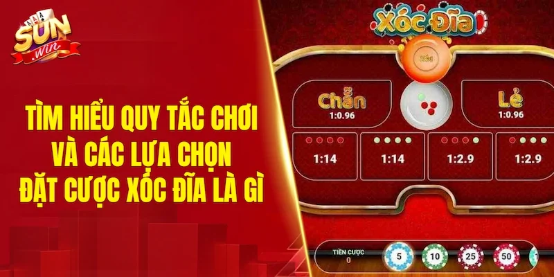 Tìm hiểu quy tắc chơi và các lựa chọn đặt cược xóc đĩa là gì