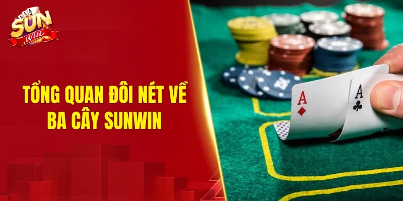 Tổng quan đôi nét về ba cây SUNWIN