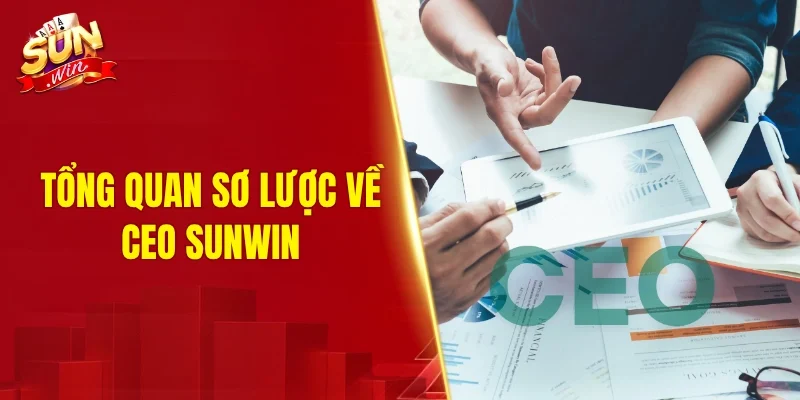 Tổng quan sơ lược về CEO SUNWIN
